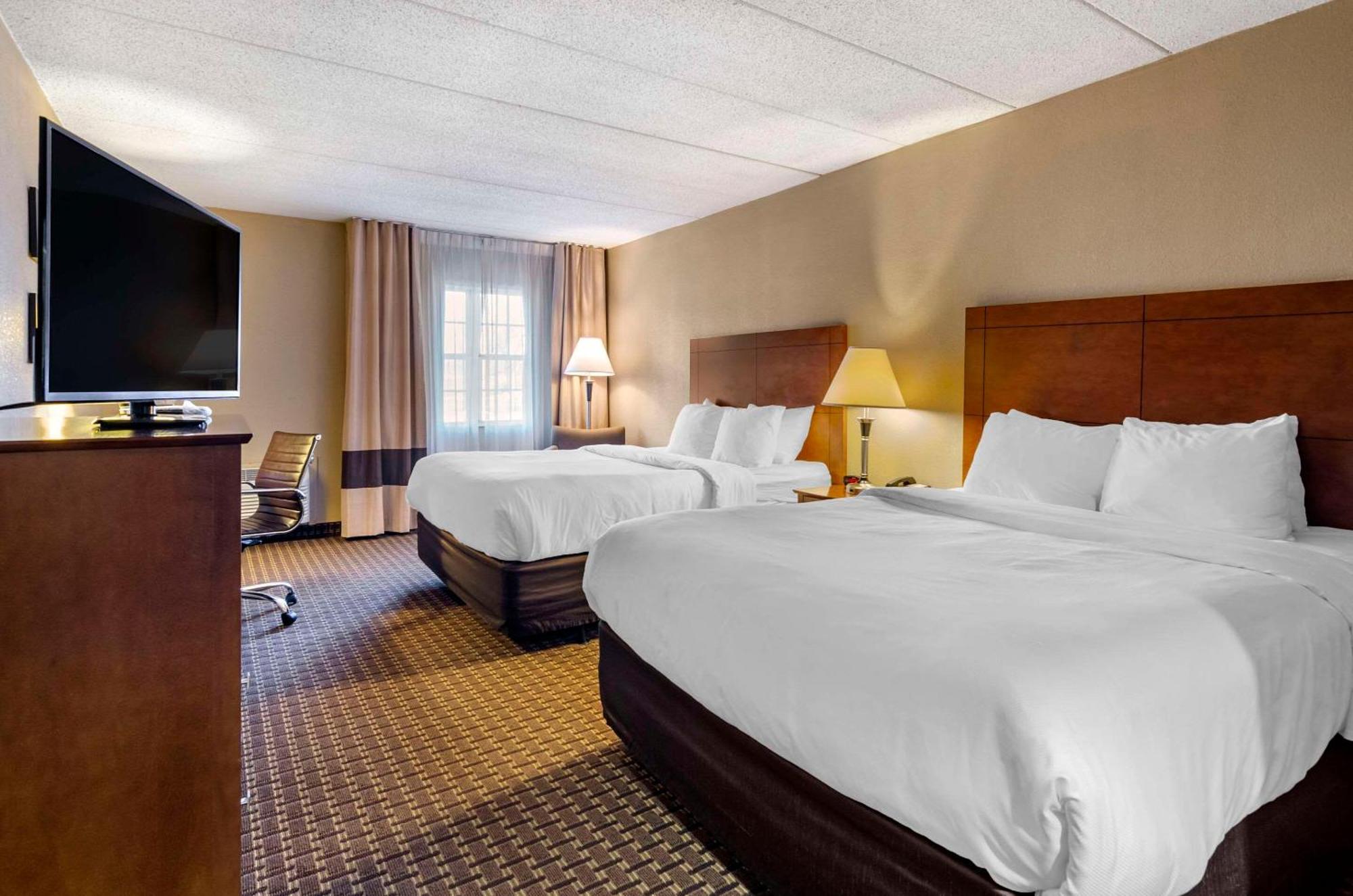 Comfort Inn & Suites Raphine - Lexington Near I-81 And I-64 Zewnętrze zdjęcie