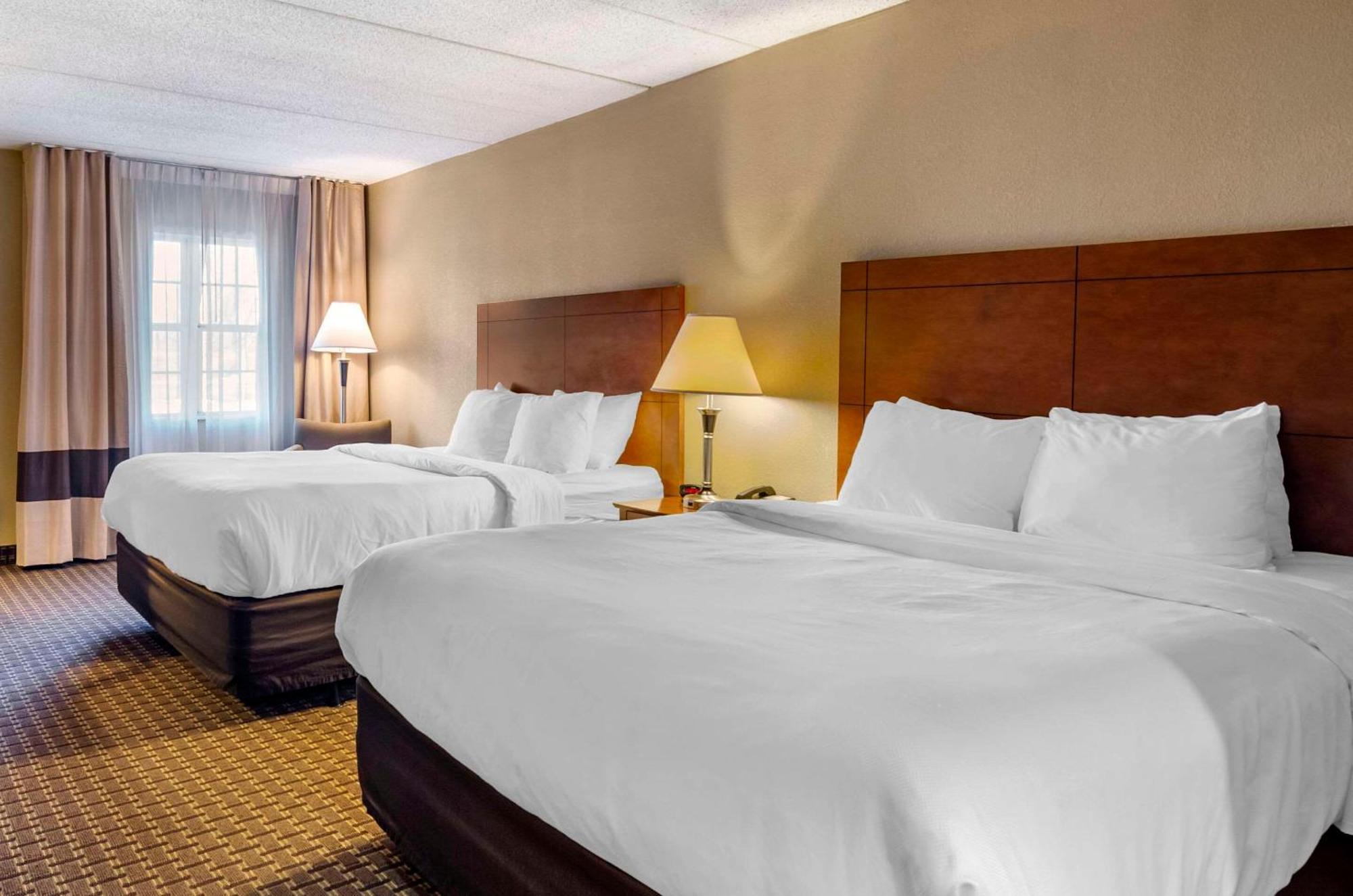 Comfort Inn & Suites Raphine - Lexington Near I-81 And I-64 Zewnętrze zdjęcie