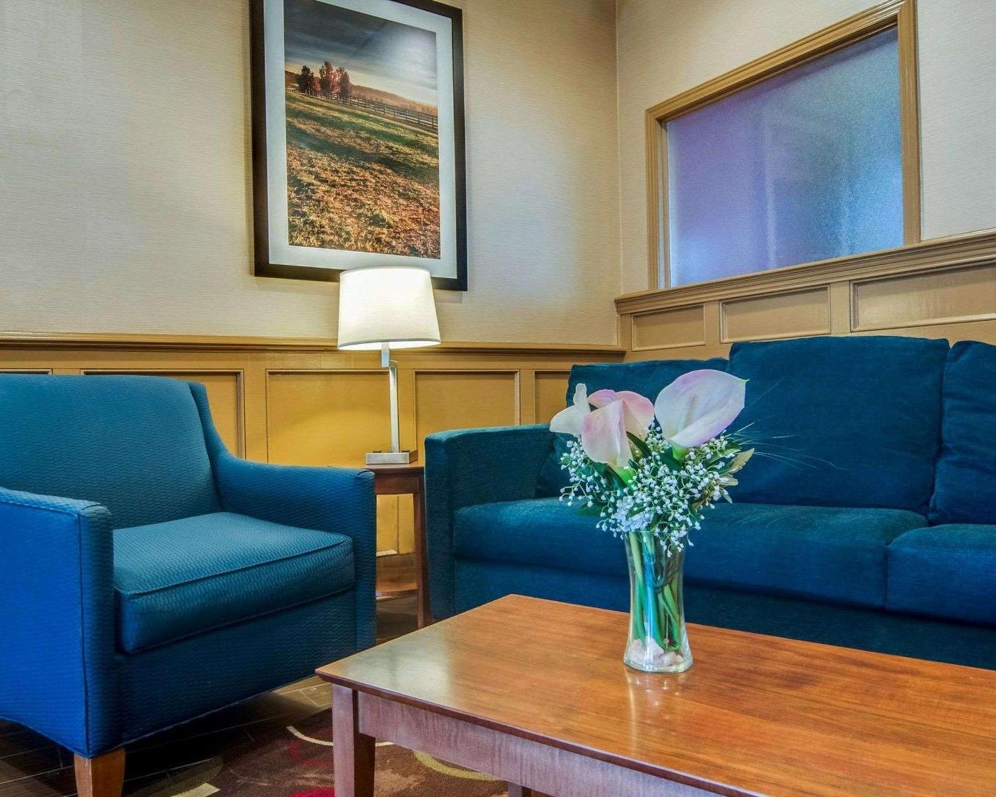 Comfort Inn & Suites Raphine - Lexington Near I-81 And I-64 Zewnętrze zdjęcie